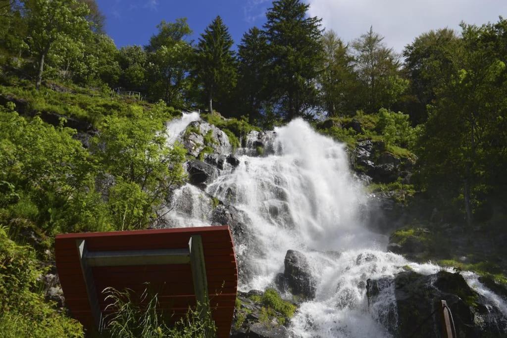 Waldklang Titisee Bagian luar foto