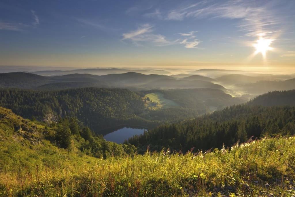 Waldklang Titisee Bagian luar foto