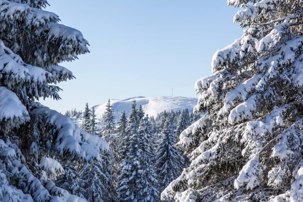 Waldklang Titisee Bagian luar foto